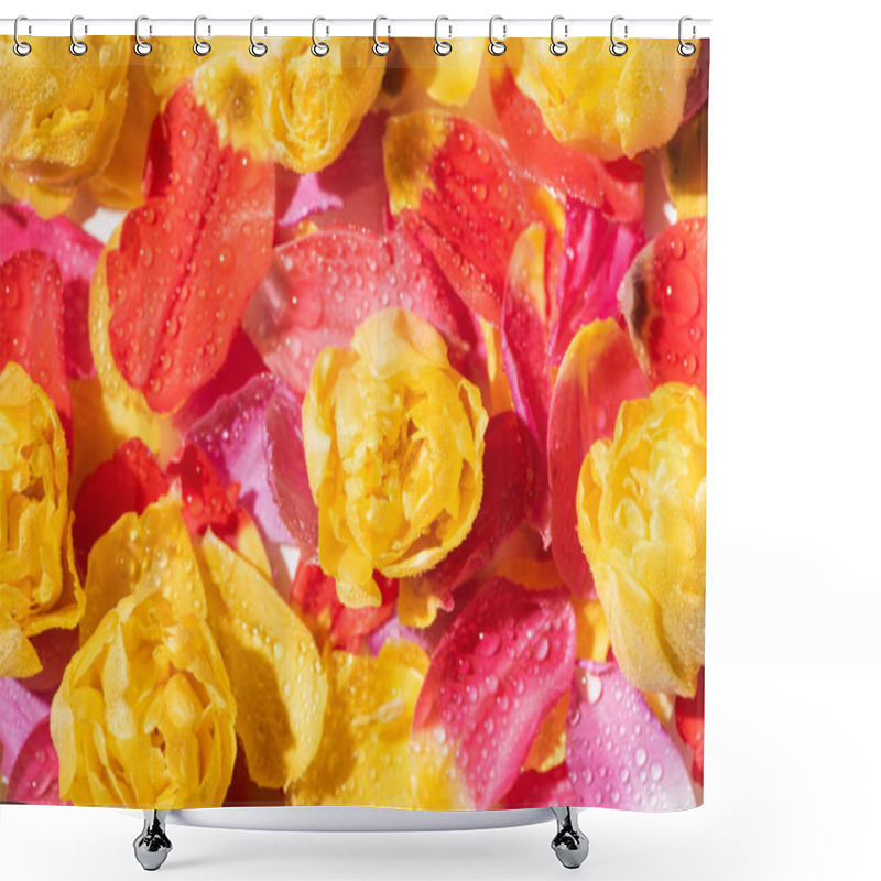 Personality  Selective Focus Of Bright Tulip Petals With Water Drops Shower Curtains