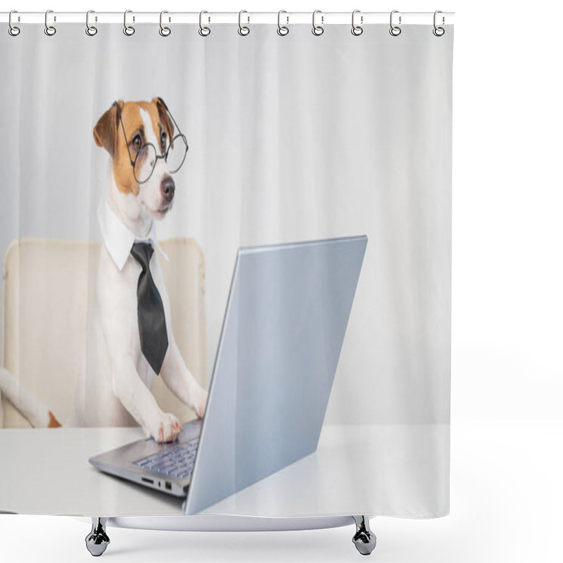 Personality  Dog Jack Russell Terrier In Glasses And A Tie Sits At A Desk And Works At A Computer On A White Background. Humorous Depiction Of A Boss Pet. Shower Curtains