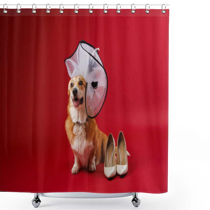 Personality  Glamorous Corgi In A White Hat With Beige Heels On Red Background, Showcasing Playful Elegance. High Quality Photo Shower Curtains