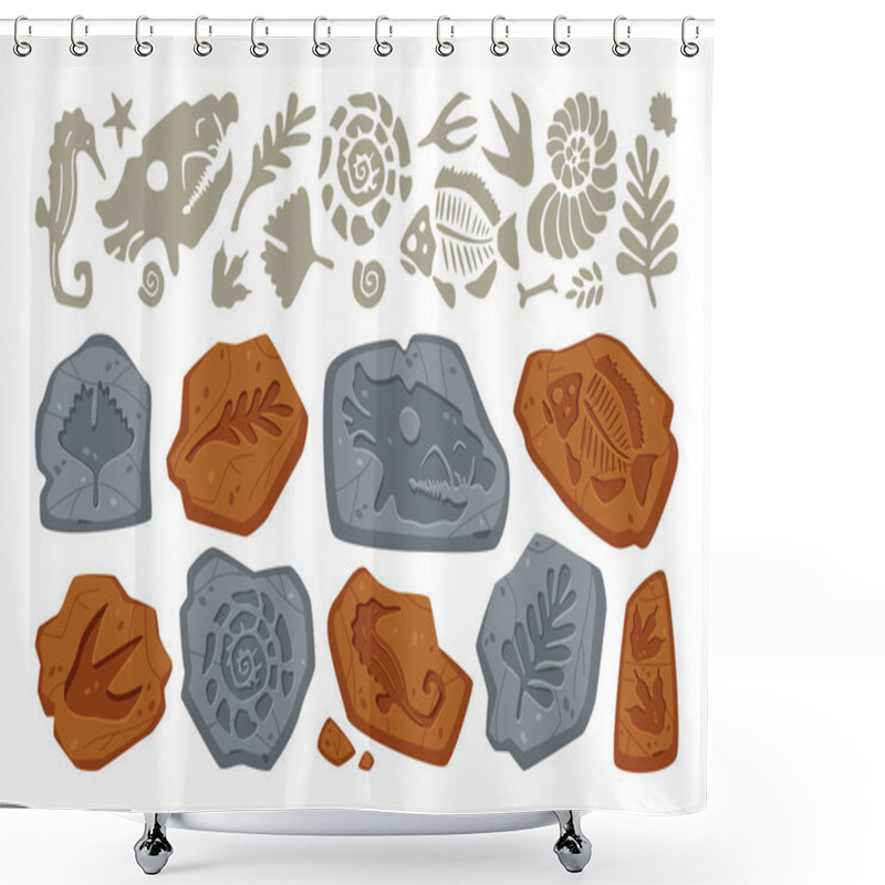 Personality  Fossil Stone With Dinosaur Footprint, Bone Trace, Leaf Plant And Fish Imprint On Rock, Prehistoric Seashell And Different Jurassic Animal Skeleton Drawing Pattern Isolated Vector Illustration Shower Curtains