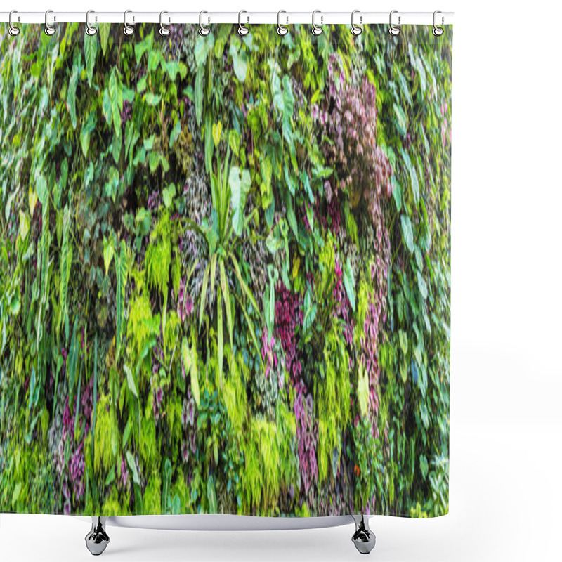 Personality  Panorama Of Vertical Garden With Tropical Green Leaf And Flowers. Nature Background Shower Curtains