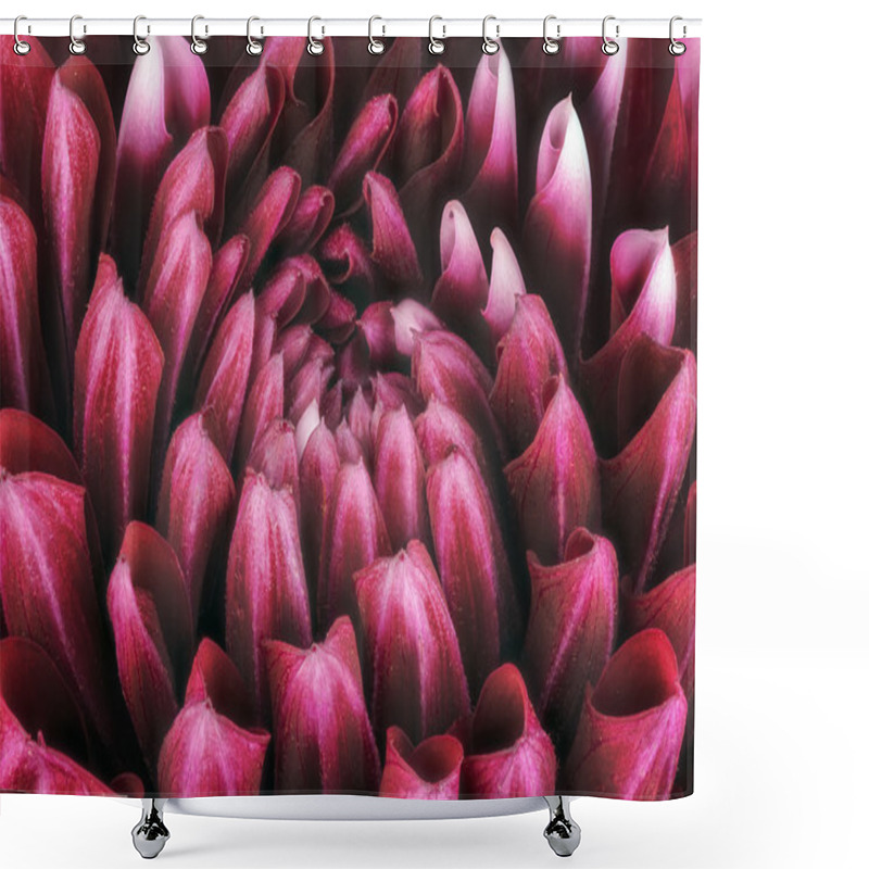 Personality  Dark Red Flower Petals, Close Up And Macro Of Chrysanthemum, Beautiful Abstract Background Shower Curtains