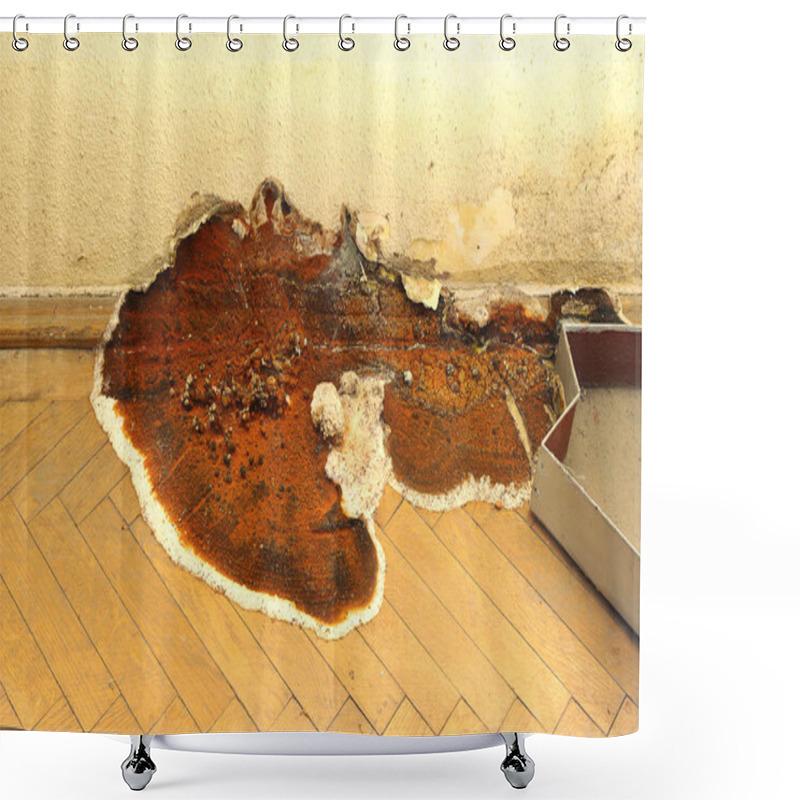 Personality  Fruiting Body Of Dry Rot Growing On Parquet ( Serpula Lacrymans ) Shower Curtains