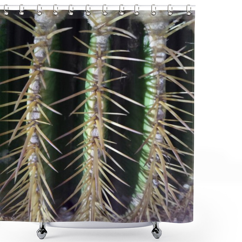 Personality  Close-up View Of A Cactus Showcasing Sharp Yellow Spines Against Its Deep Green Ridges. The Vibrant Contrast And Intricate Details Highlight The Rugged Beauty Of Desert Flora. Shower Curtains