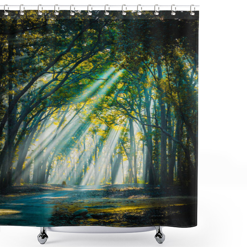 Personality  Road To Home. Sunrays With Mist Appearing Shower Curtains