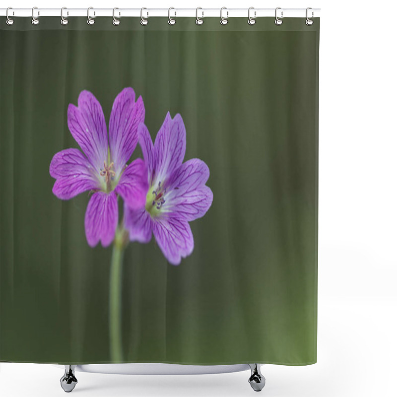 Personality  Geranium Pratense, The Meadow Crane's-bill Or Meadow Geranium Shower Curtains