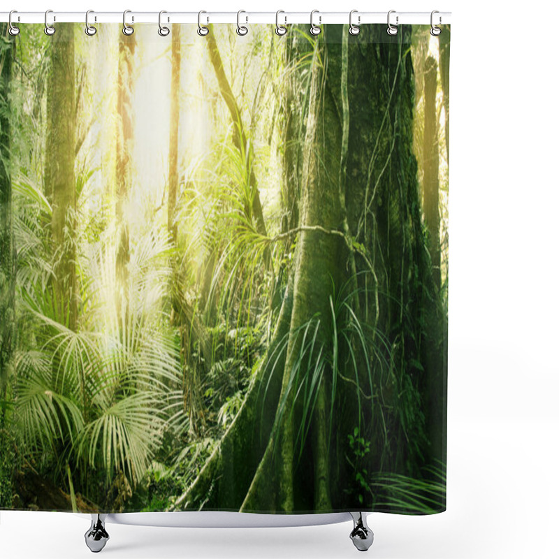 Personality  Tropical Jungle Shower Curtains