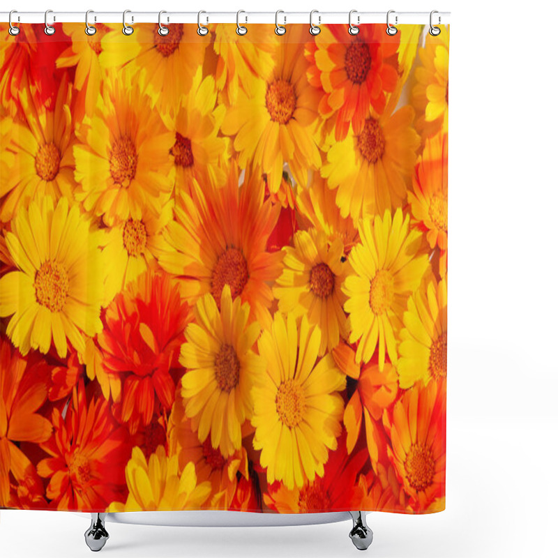 Personality  Calendula Officinalis, The Pot Marigold, Ruddles, Common Marigol Shower Curtains