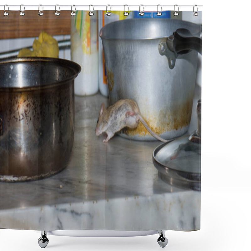 Personality  House Mouse Mus Musculus Jumping In A Kitchen. Shower Curtains