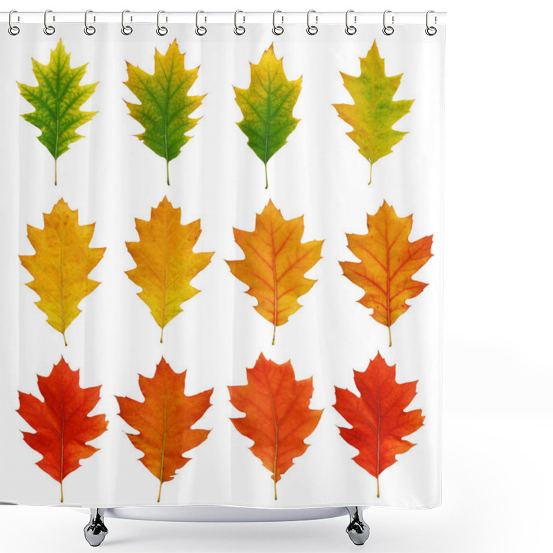 Personality  Oak Fall Leaves Shower Curtains