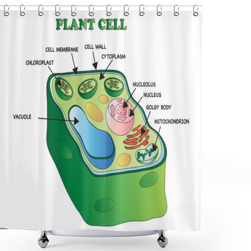 Personality  Plant Cell Structure Shower Curtains