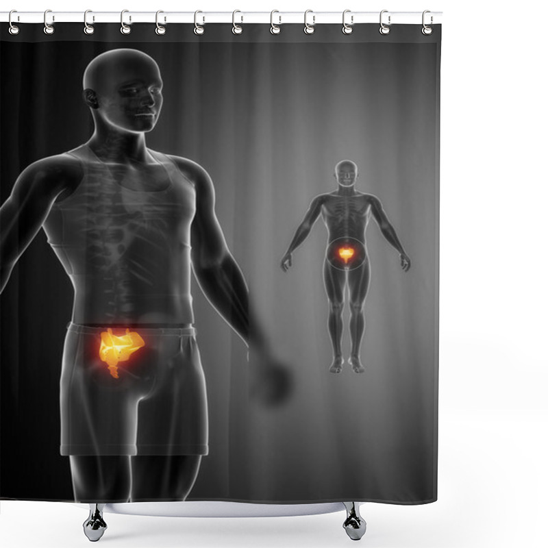 Personality  SACRUM Bone Scan Shower Curtains