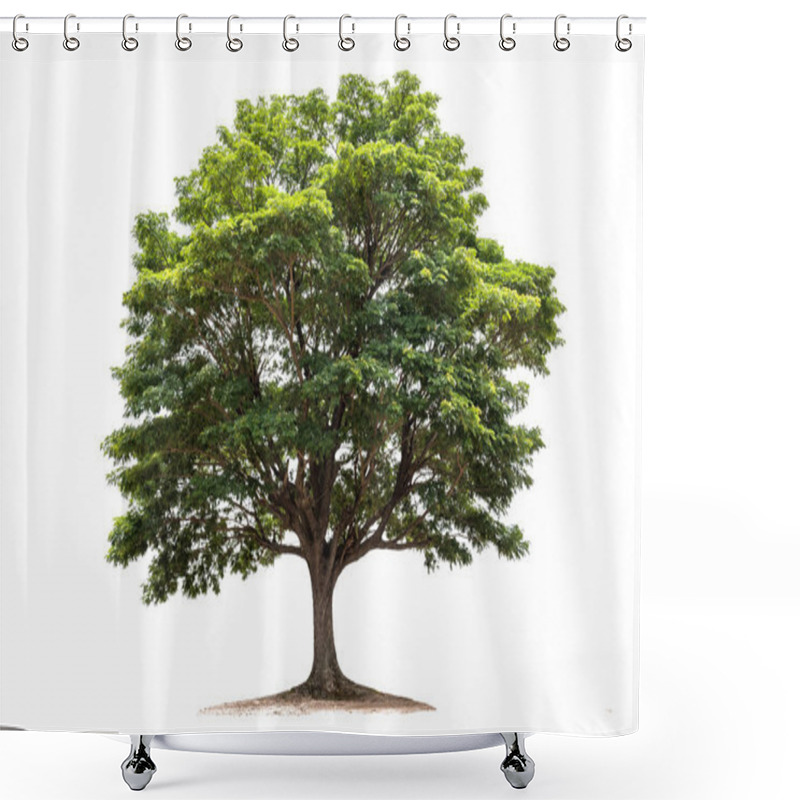 Personality  Rain Tree Isolated On White Background. Tropical Tree Shower Curtains