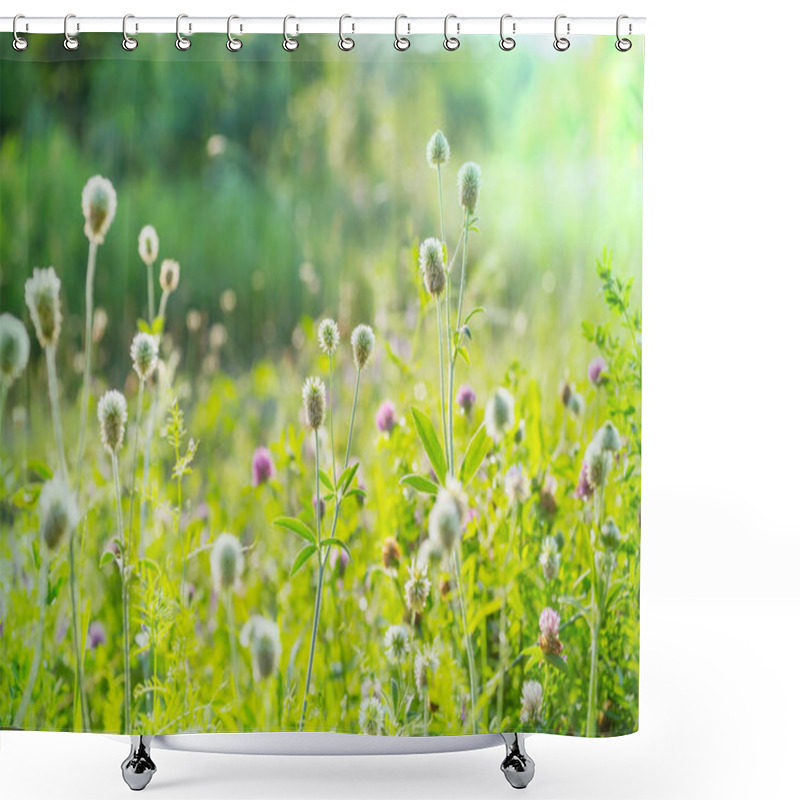 Personality  Sunny Day On The Flowers Meadow. Beautiful Natural Background. Shower Curtains