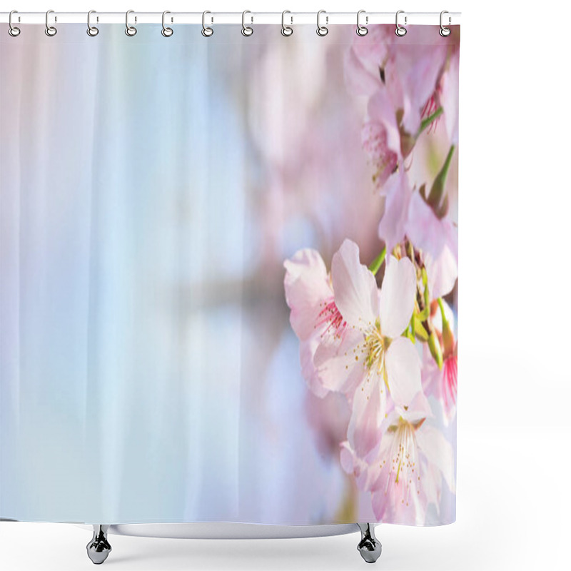 Personality  The Pink Sakura Petals Flower Background. Romantic Blossom Sakura Flower Petals Shower Curtains