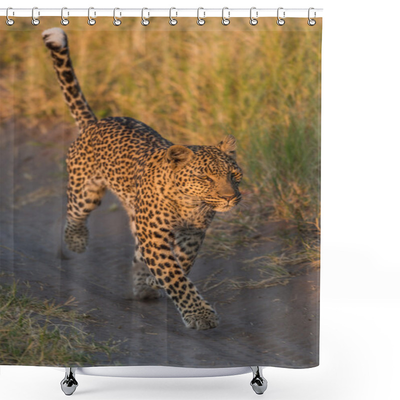 Personality  Leopard Running Along Sandy Track In Grass Shower Curtains