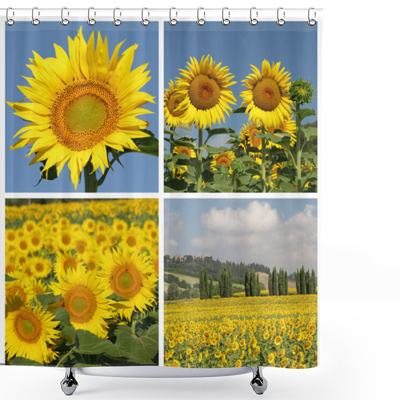 Personality  Collage With Sunflowers Shower Curtains