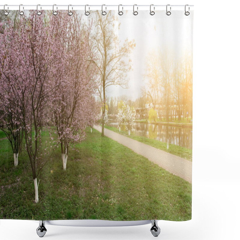 Personality  Close-up Of Delicate Pink Cherry Blossom Flowers On A Tree Branch During Spring. The Soft Sunlight Creates A Warm, Calming Ambiance With A Scenic Park View In The Background Shower Curtains