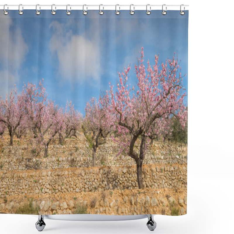 Personality  Almond Trees Plantation Shower Curtains