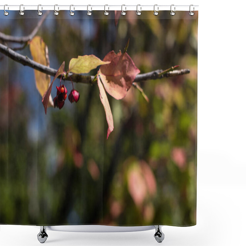 Personality  Close Up View Of Yellow Leaves And Berries On Tree Branch Shower Curtains