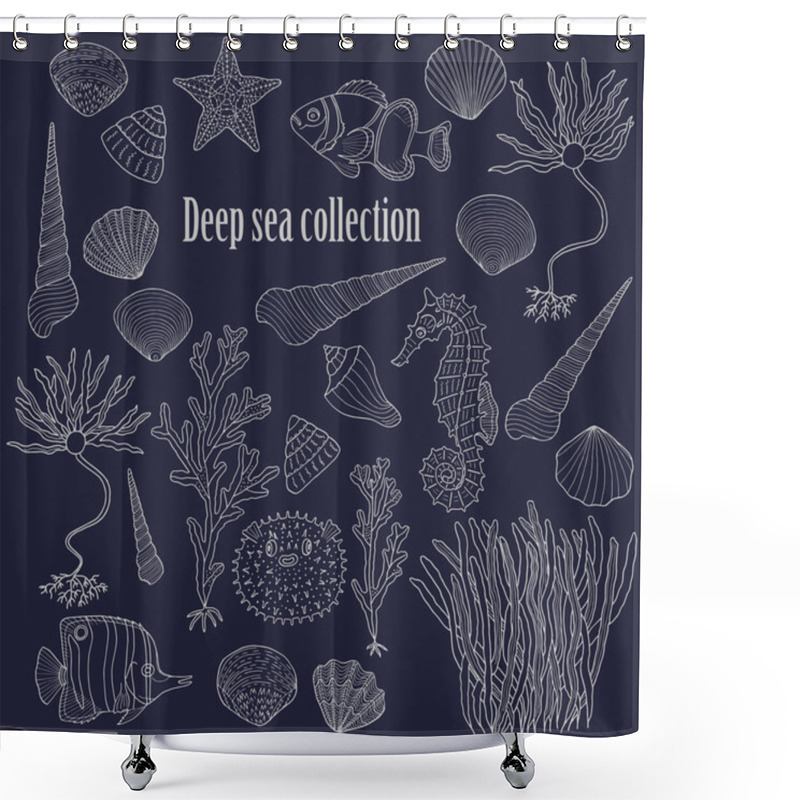 Personality  Sea Collection: Shells, Starfish Shower Curtains