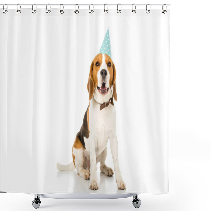 Personality  Beagle Dog In Party Cone Isolated On White Shower Curtains