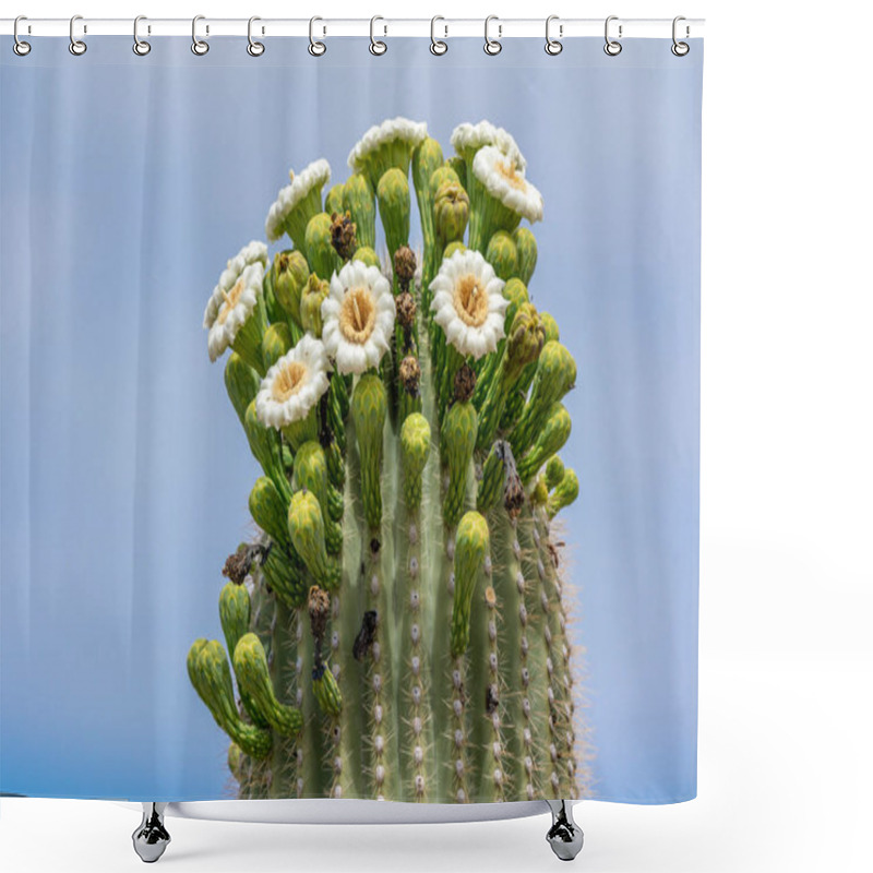 Personality  Saguaro Cactus Flowers On Top Against Sky Shower Curtains