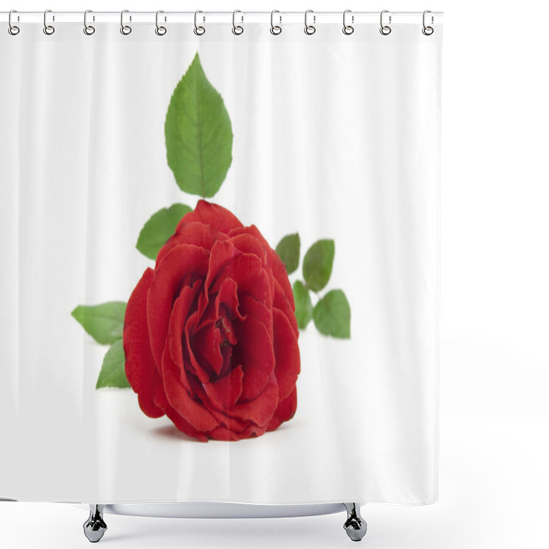 Personality  Beautiful Red Rose With Leaves Shower Curtains