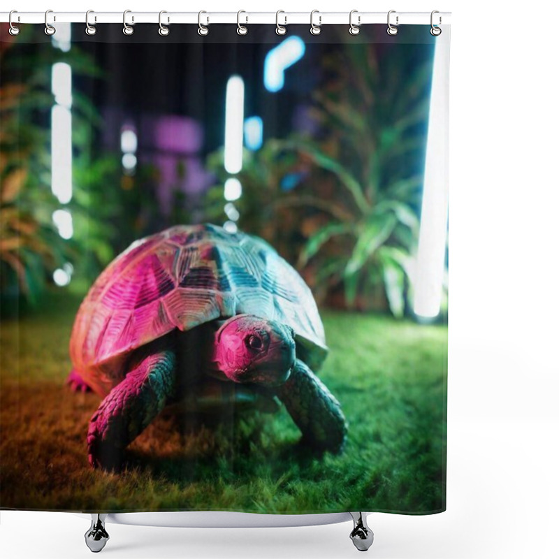 Personality  A Cybernetic Tortoise Crawling Slowly Through A Neon Garden, Its Shell Adorned With Glowing Patterns That Mimic Natural Designs. Full Shot (FS), Tilt-Shift, Eye Level Shot Shower Curtains