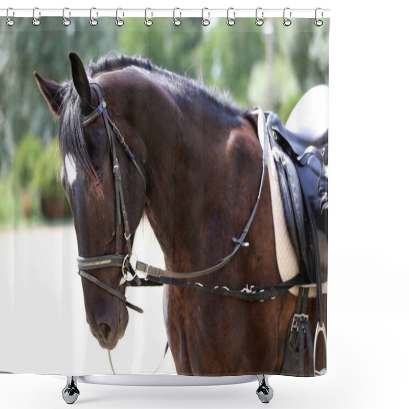 Personality  Closeup Of A Leather Saddle For Equestrian Sport On Horseback Shower Curtains