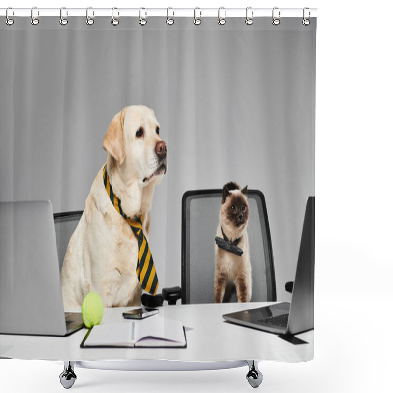 Personality  A Dog And A Cat Sit At A Desk In A Studio Setting, Appearing To Work Together On A Project. Shower Curtains