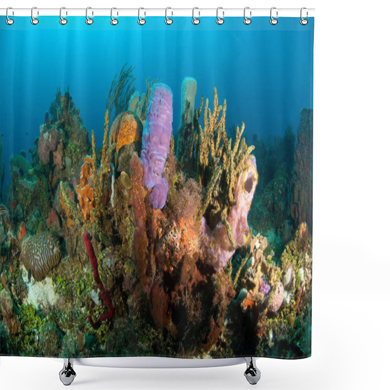 Personality  Coral Reef Shower Curtains