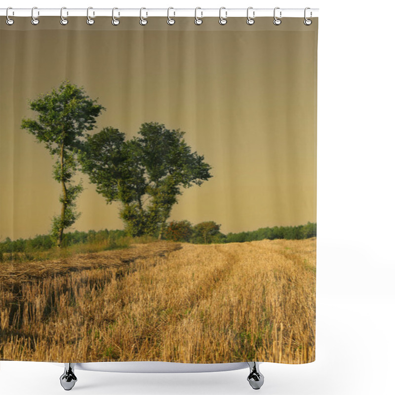 Personality  Mystic Landscape Shower Curtains