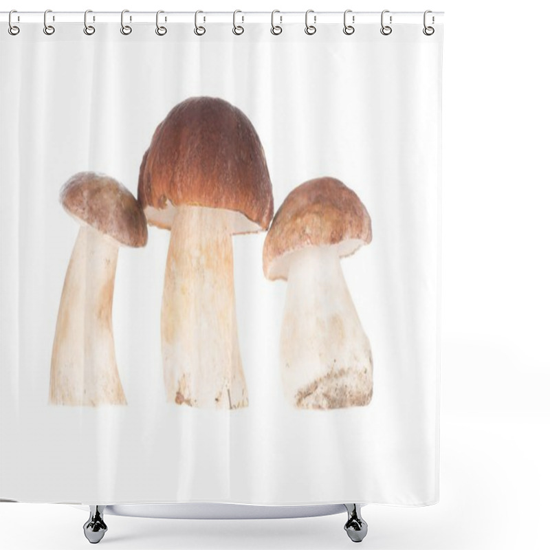 Personality  Three Porcini Mushrooms  Shower Curtains