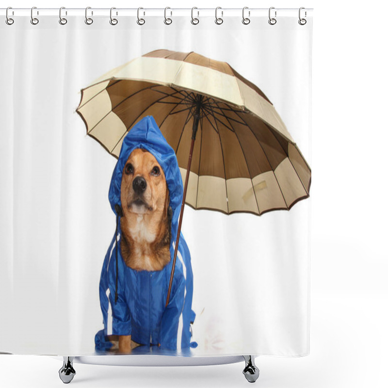 Personality  Rain Dog Shower Curtains