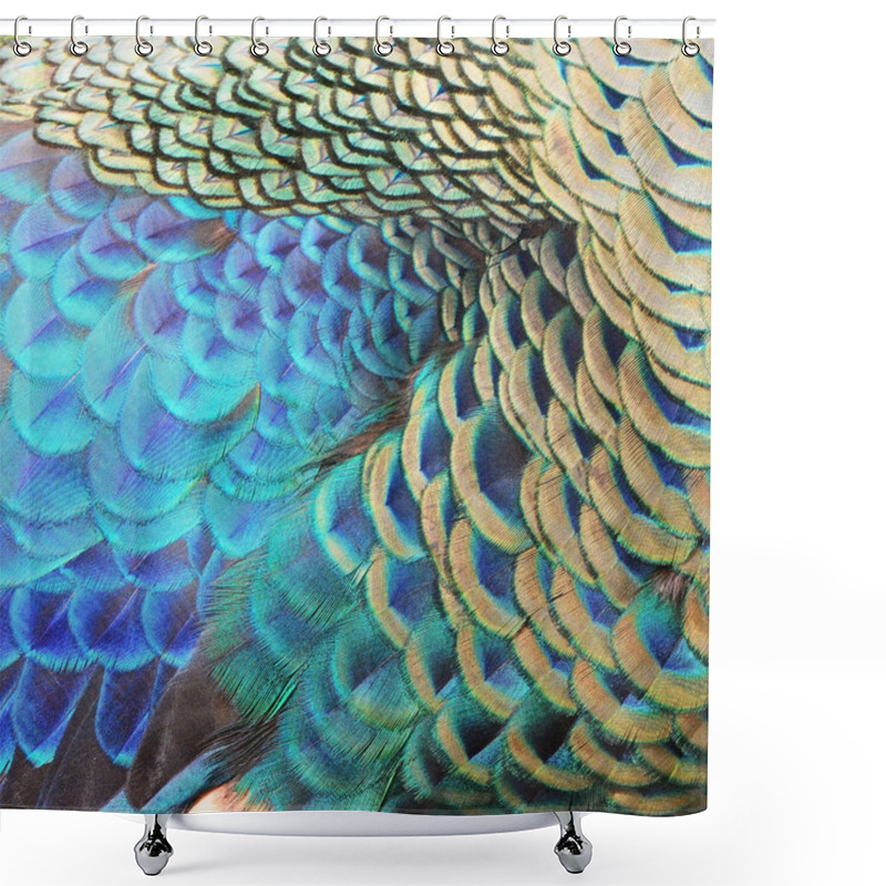 Personality  Green Peacock Feathers Shower Curtains