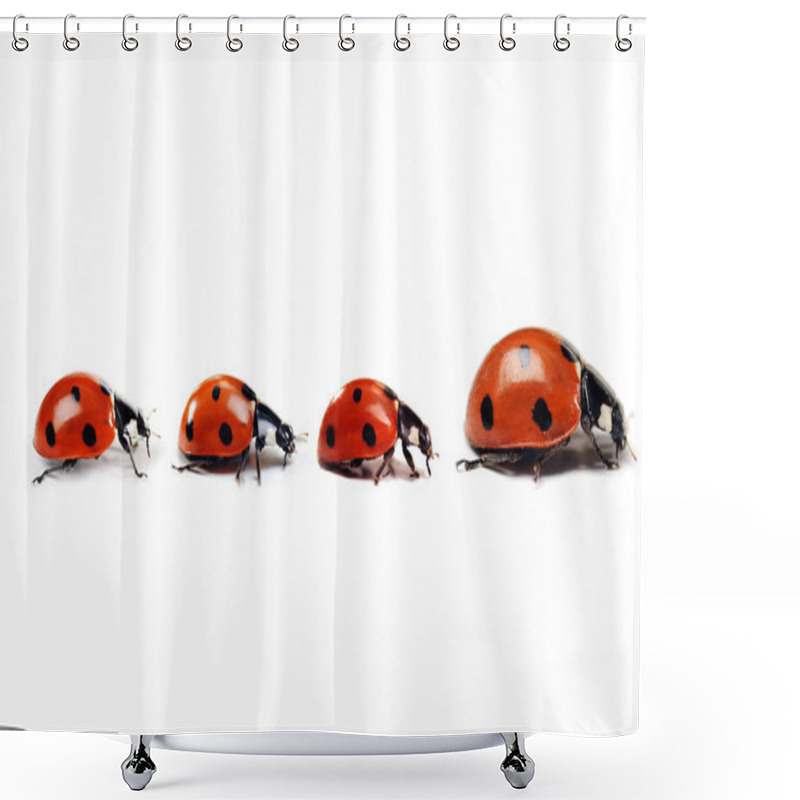 Personality  Mother Ladybug With Three Kids Shower Curtains