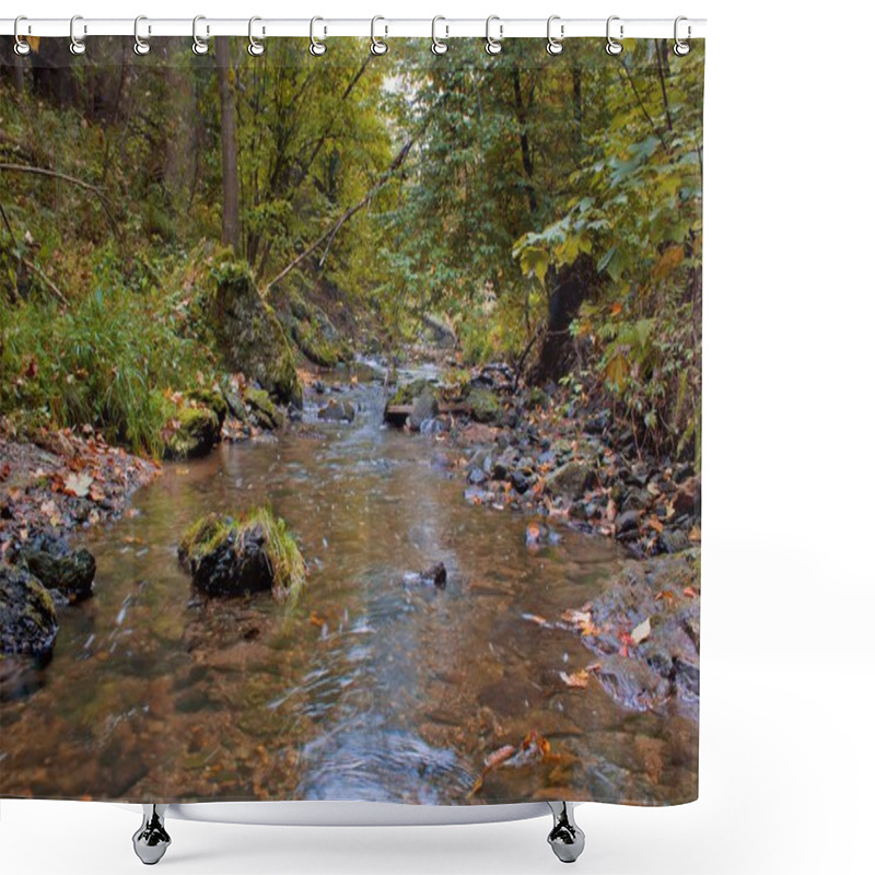 Personality  Autumn Stream In The Forest In Sunny Day Shower Curtains