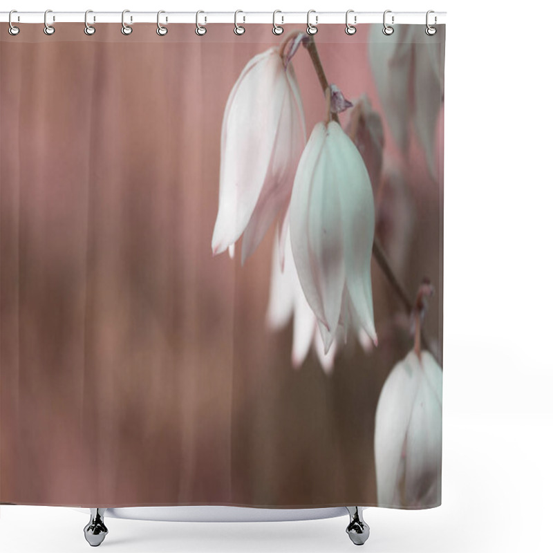 Personality  Decorative Yucca Plant. Flowers Of Yucca. Blooming Yucca Bush.  Shower Curtains