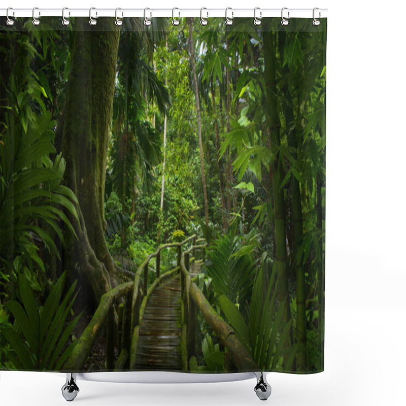 Personality  Tropical Rain Forest In Asia Shower Curtains