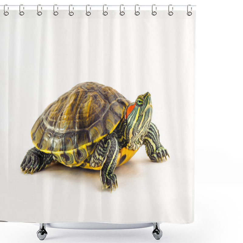 Personality  One Pond Slider Isolated On The White Background Shower Curtains