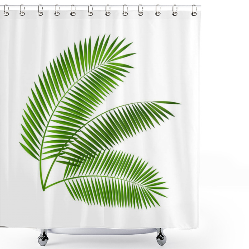 Personality  Palm Leaf Vector Illustration Shower Curtains