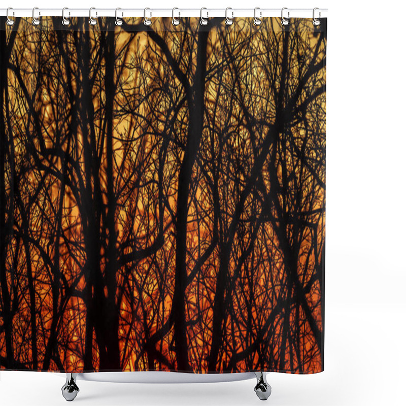 Personality  The Silhouette Of The Branches At Sunset Shower Curtains