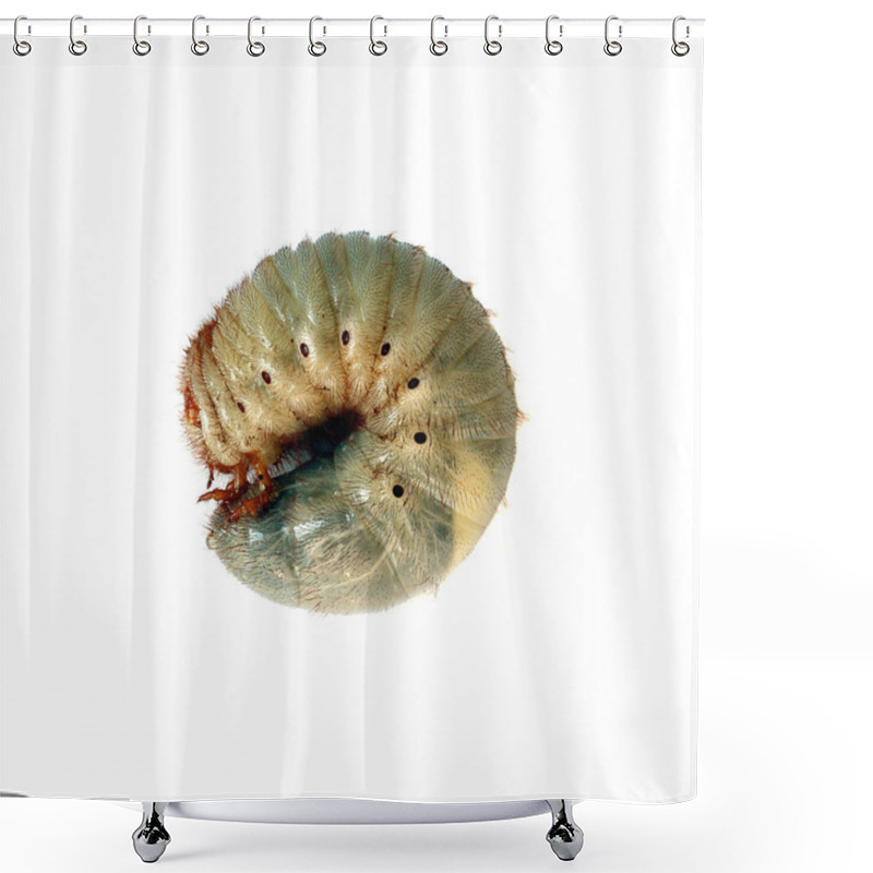 Personality  Image Of Worm Beetle On A White Background. Shower Curtains