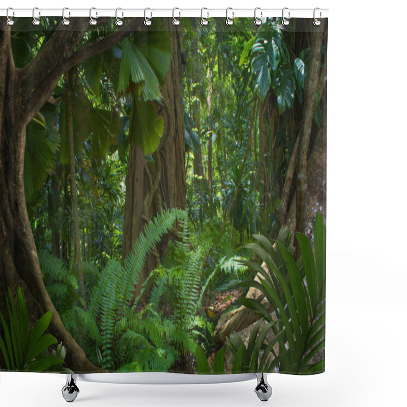 Personality  Asian Tropical Rainforest In Thailand Shower Curtains