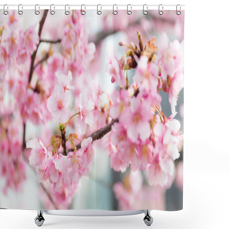 Personality  Blooming Sakura Tree Branches Shower Curtains