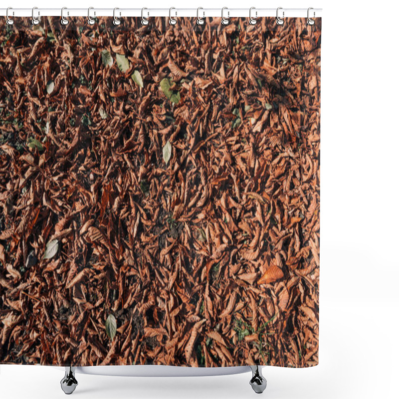 Personality  Close Up Of Dry Brown Leaves On Ground Shower Curtains