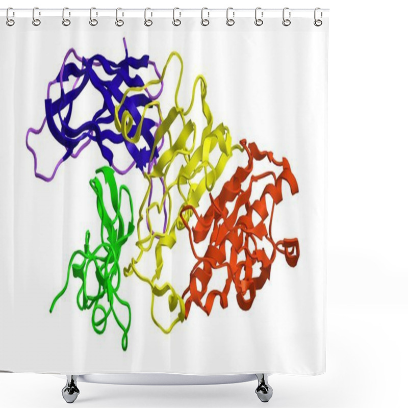 Personality  Molecular Structure Of Pancratic Lipase Shower Curtains