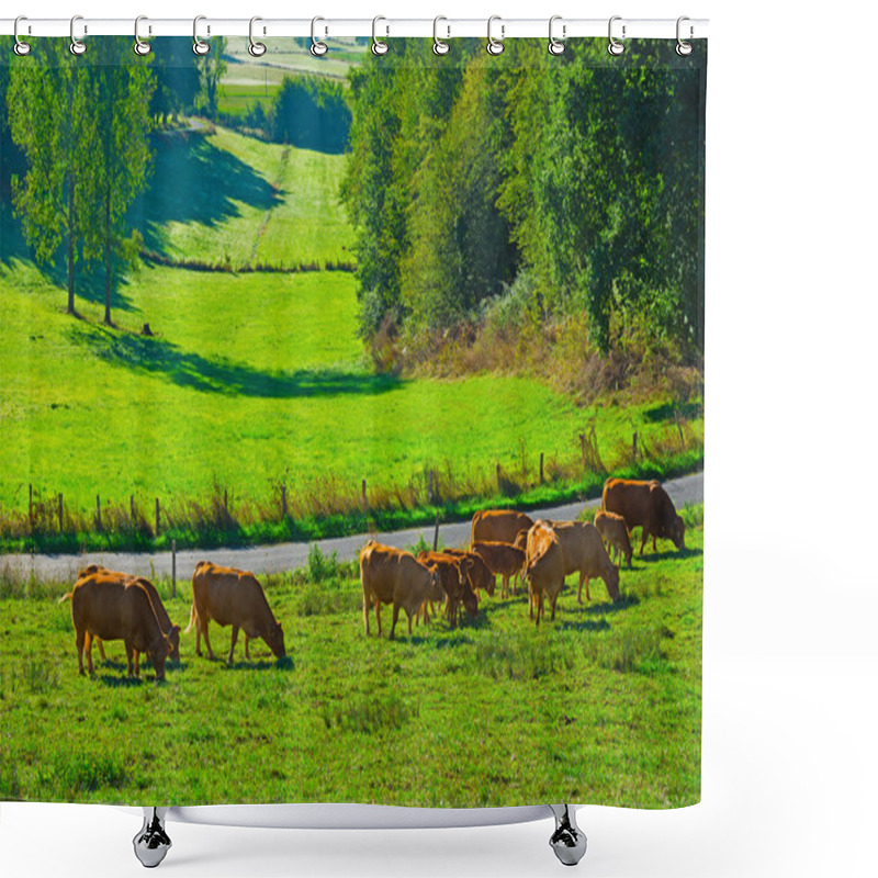 Personality  Cows Shower Curtains