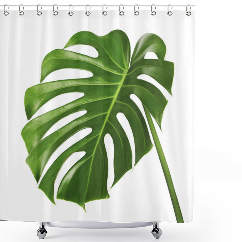 Personality  Monstera Deliciosa Leaf Or Swiss Cheese Plant, Tropical Foliage Isolated On White Background, With Clipping Path Shower Curtains